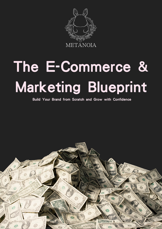 The E-Commerce & Marketing Blueprint: Build Your Brand from Scratch and Grow with Confidence